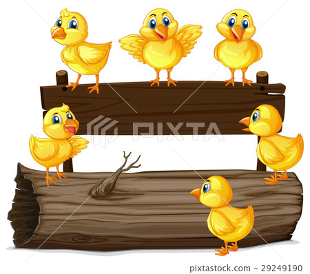 图库插图: wooden sign with six chicks