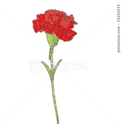 母亲节 花朵 首页 插图 姿势/表情/动作 行为/动作 感激/谢谢 康乃馨