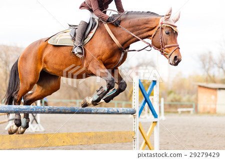 图库照片: horse with rider jump over hurdle on show jumping