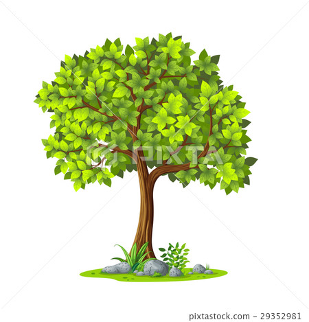 插图素材: illustration of a tree in summer