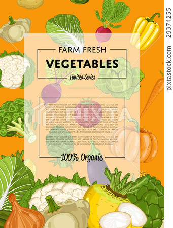 图库插图: fresh farm food banner with vegetable