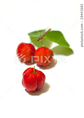 图库照片: cherry fruit on white background