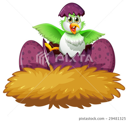 插图素材: bird in the egg on the nest