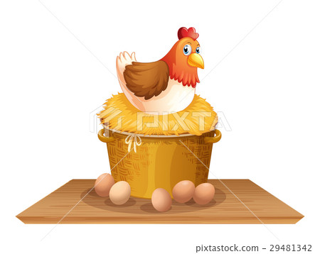 图库插图: hen in chicken nest