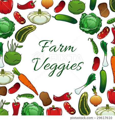 图库插图: farm vegetables poster, vegetarian food background