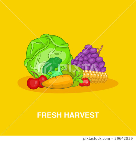 插图素材: fresh harvest concept, cartoon style 查看全部