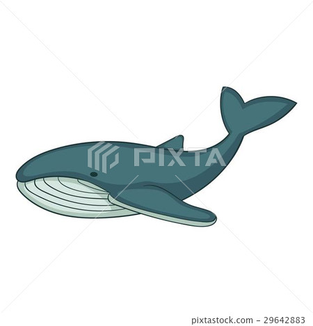 whalecartoon,cartoonnetwork 图库插图: whale icon, cartoon style