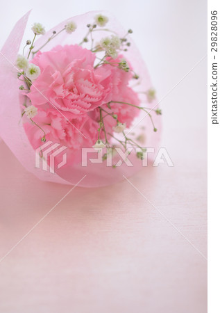 图库照片: 粉色康乃馨花束(花语是"谢谢")