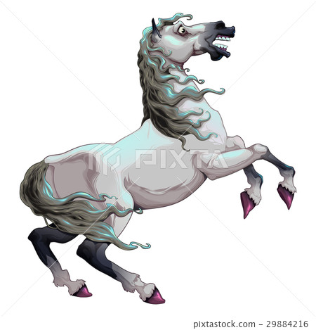 插图素材: skittish white horse