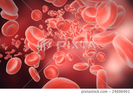 插图素材: red blood cells: responsible for oxygen carrying 查看