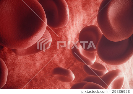 插图素材: red blood cells in artery, flow inside body 查看全部