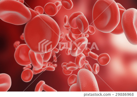 插图素材: red blood cells: responsible for oxygen carrying 查看