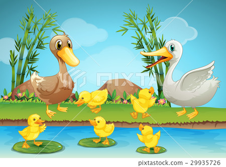 插图素材: mother duck and ducklings at the river