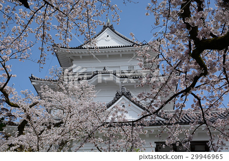 图库照片 小田原城 小田原城遗址公园 公园