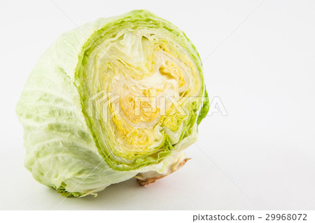 图库照片: crisphead lettuce (lactuca sativa) isolated in whi