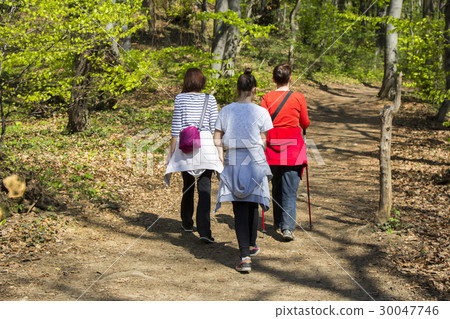 图库照片: three young girls walking in spring forest