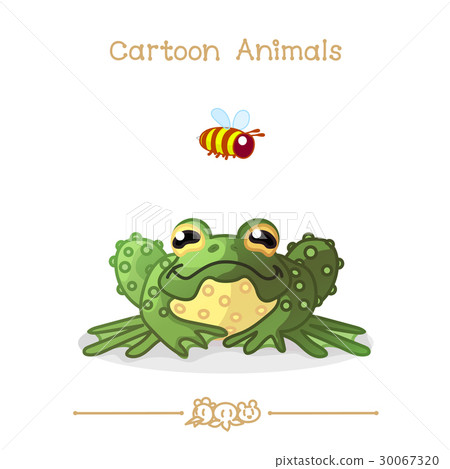 图库插图 green toad and bee