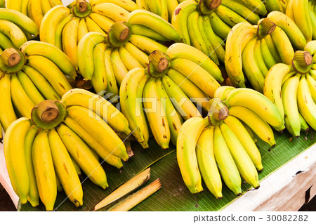 图库照片: rows of yellow bananas