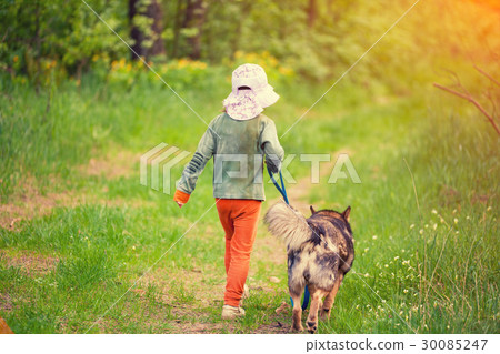 图库照片: little girl with dog walking in the forest