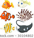cartoonfish,Animewallpaper 插图素材: cartoon fish collection set
