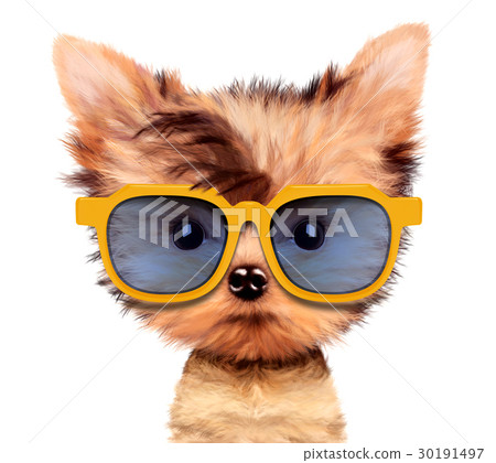 插图素材: adorable puppy with sunglasses, isolated on white.