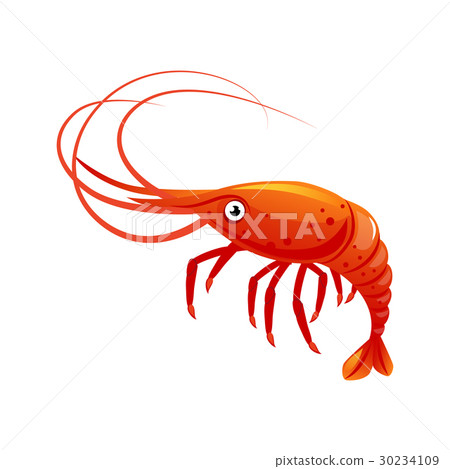 图库插图: shrimp, sea creature and seafood. colorful cartoon