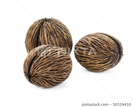 stock photo: suicide tree seed. pong pong seed or othalanga
