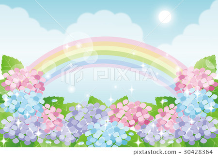 图库插图 绣球花和彩虹