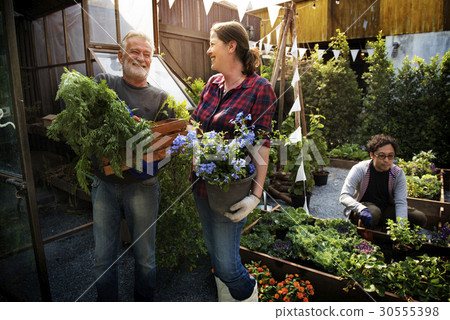 图库照片: group of people planting vegetable in greenhouse