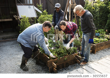 图库照片: group of people planting vegetable in greenhouse