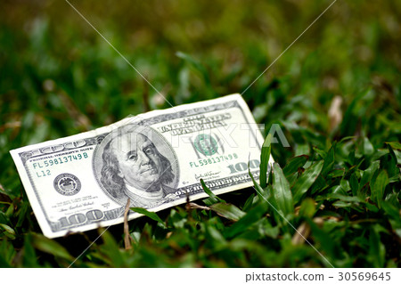 图库照片: one hundred dollar bill on green grass