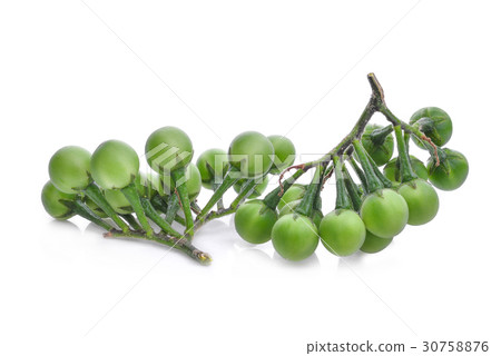 图库照片: turkey berry isolated on white background