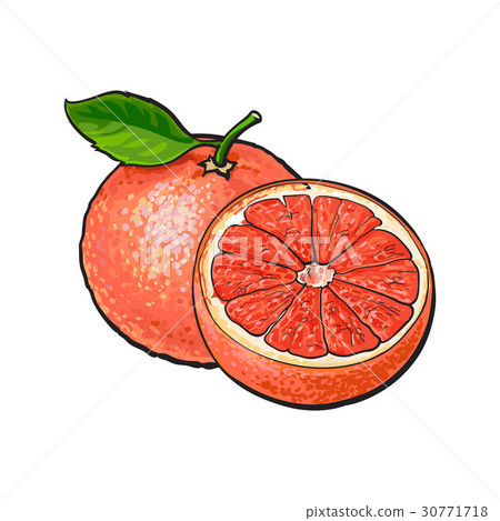 插图素材: whole and half unpeeled ripe pink grapefruit