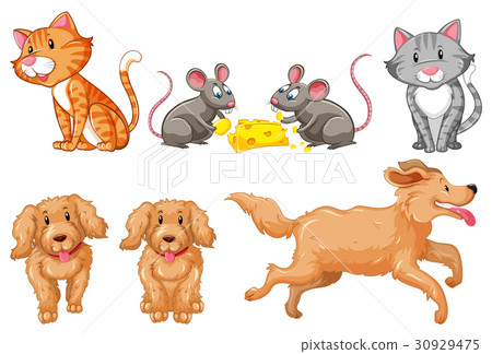 插图素材: set of dogs and cats