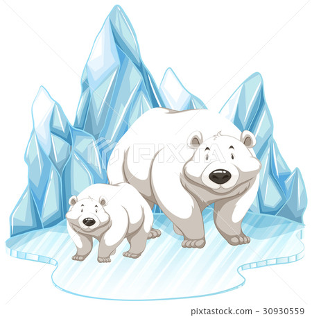 插图素材: two polar bears on iceberg 查看全部