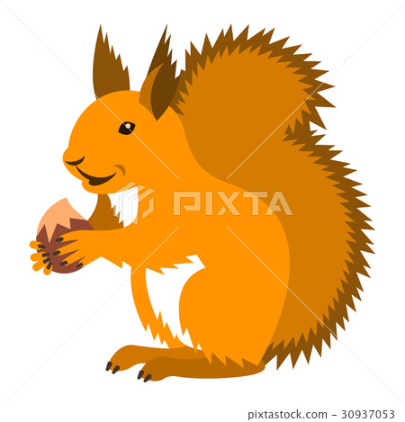 图库插图: cute smiling red squirrel with nut cartoon