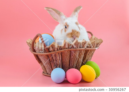 图库照片: cute rabbit in wooden basket with easter eggs