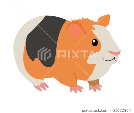 插图素材: guinea pig cartoon icon in flat design