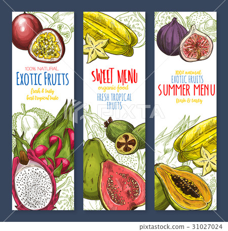 图库插图: exotic fruit sweet tropical food sketch banner set
