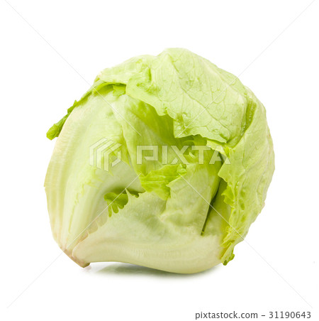 图库照片: green iceberg lettuce