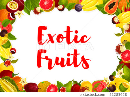 图库插图: vector exotic tropical fruits poster for market