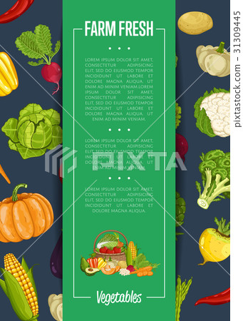 图库插图: fresh farm food banner with vegetable
