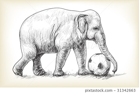 图库插图: elephant playing football
