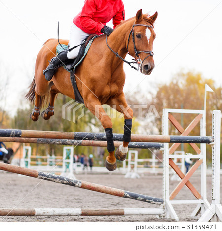 图库照片: sorrel horse with rider man jumping over obstacle