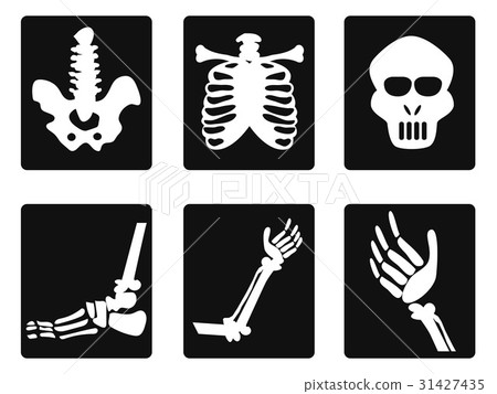 插图素材: x ray icons