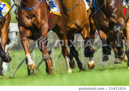 图库照片: horse racing animals legs hoofs closeup