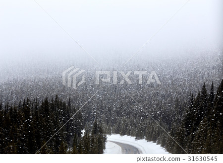 照片素材(图片): snow falling mountains canada