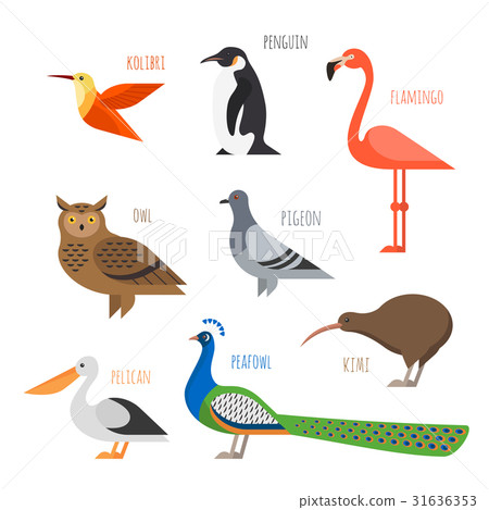 插图素材: vector set of colorful bird icons.