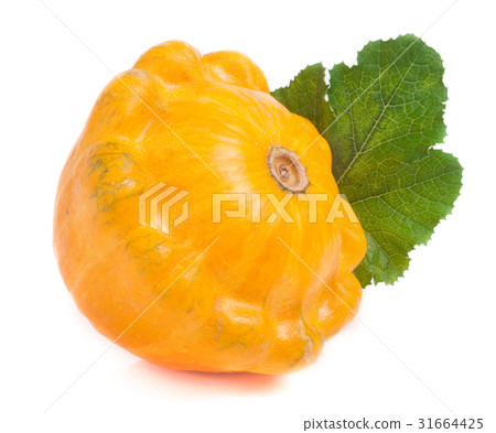 图库照片: one yellow pattypan squash with leaf isolated on