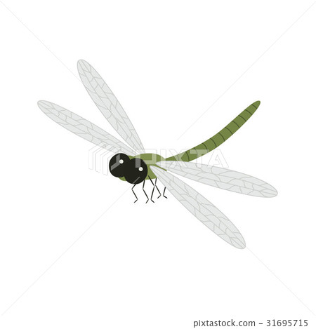 插图素材: cartoon beautiful dragonfly